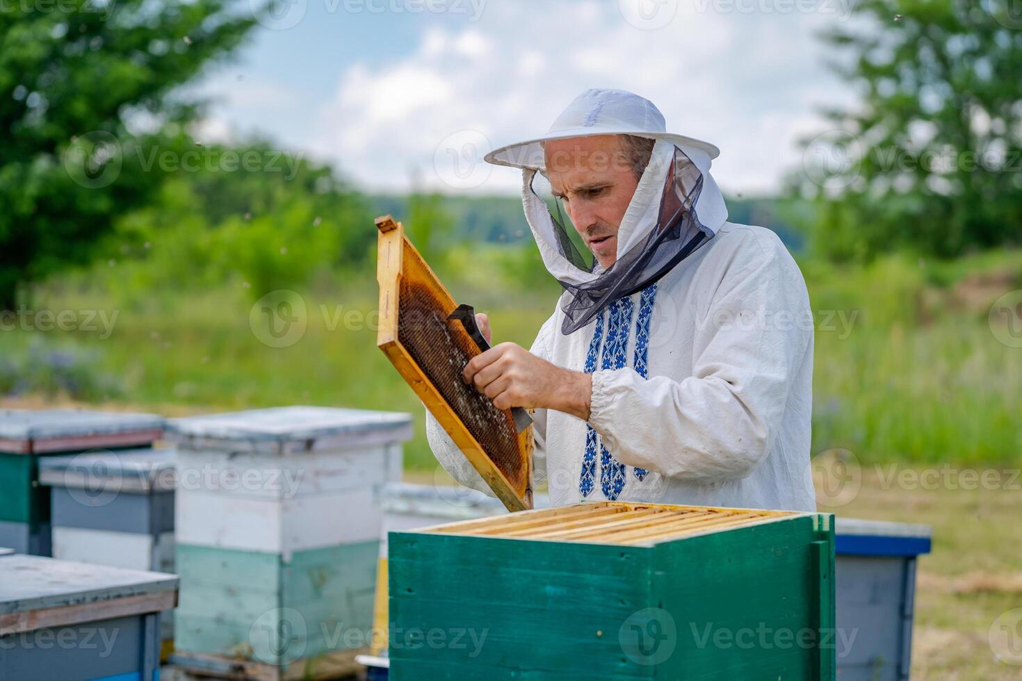 Man working in apiary. Protective clothes. Apiculture. Beekeeping concept. photo