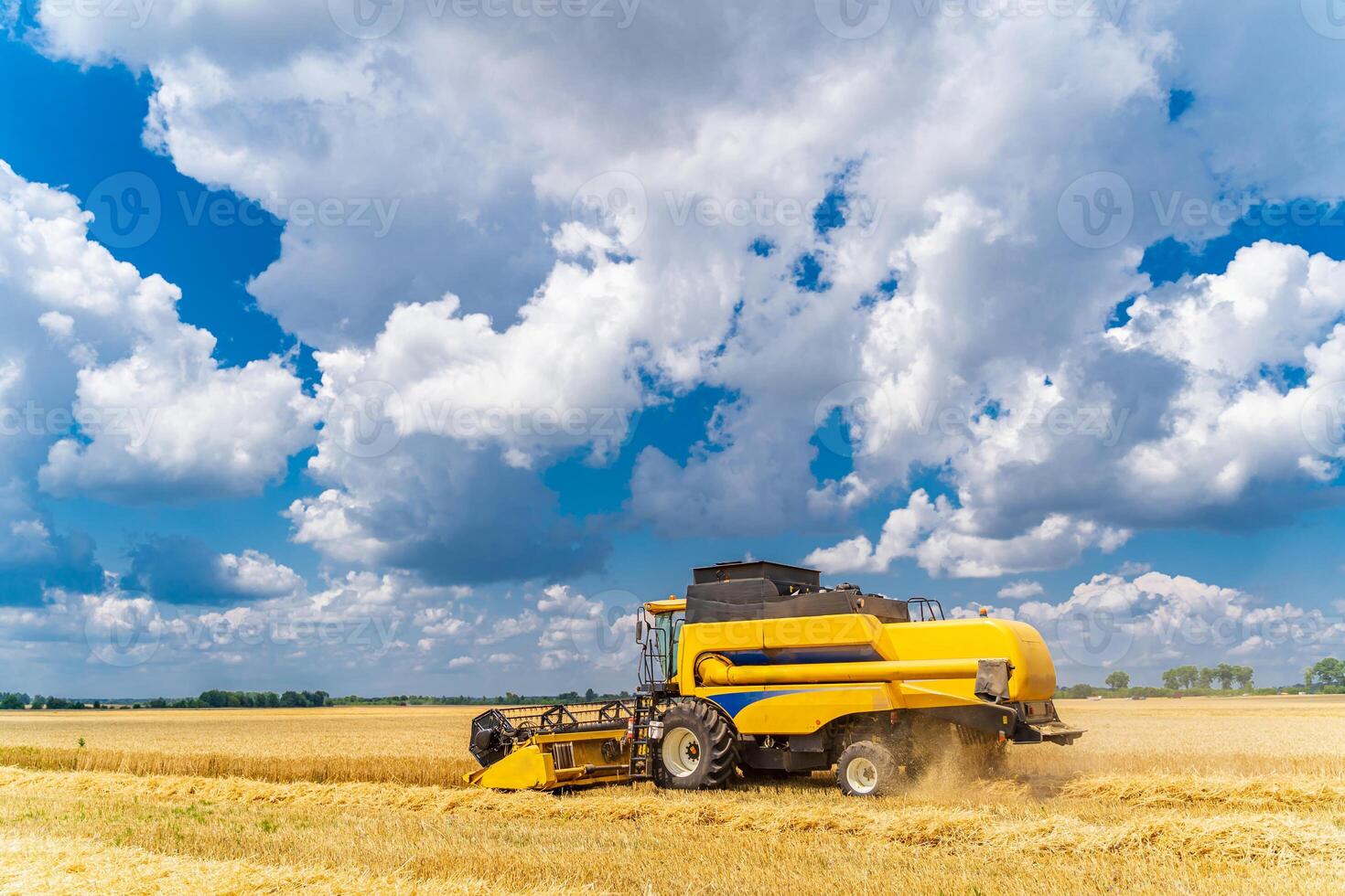 Yellow grain harvesting combine in a sunny day. Yellow field with grain. Agricultural technic works in field. Closeup. photo