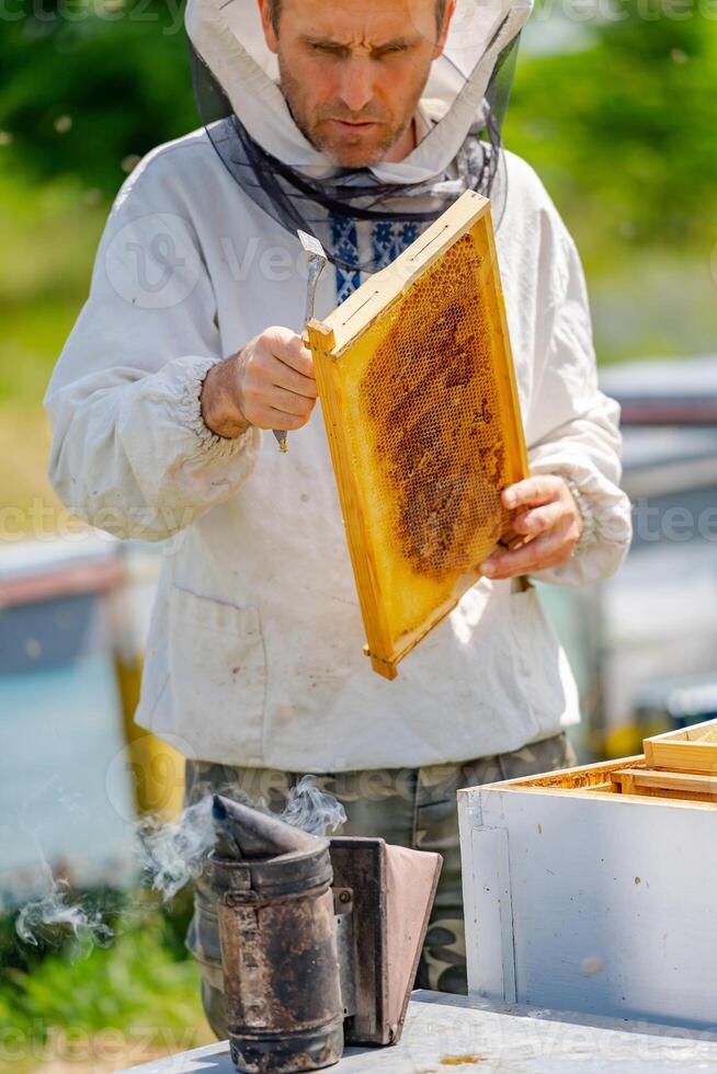 el apicultor está trabajando con abejas y colmenas en el colmenar. foto