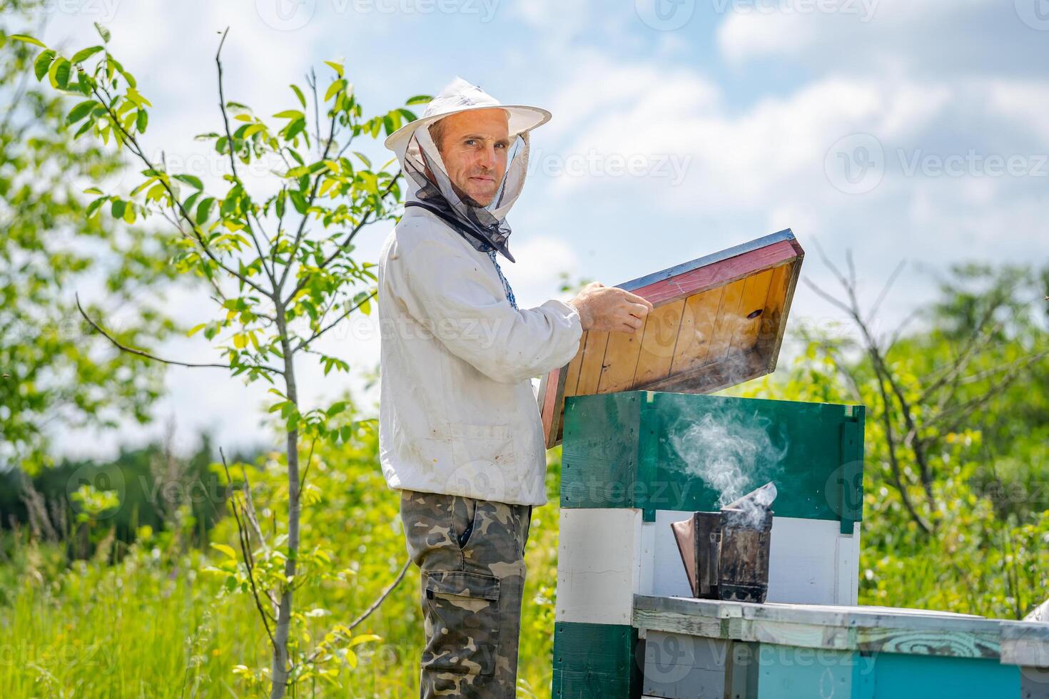 Portrait of male beekeeper with hives at background. Protective clothes on. Apiary. photo