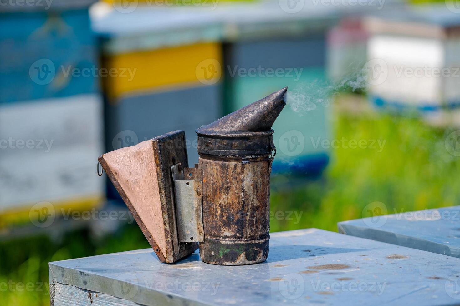 Bee smoker on hive. Hives background at apiary. Works on the apiaries in spring. photo