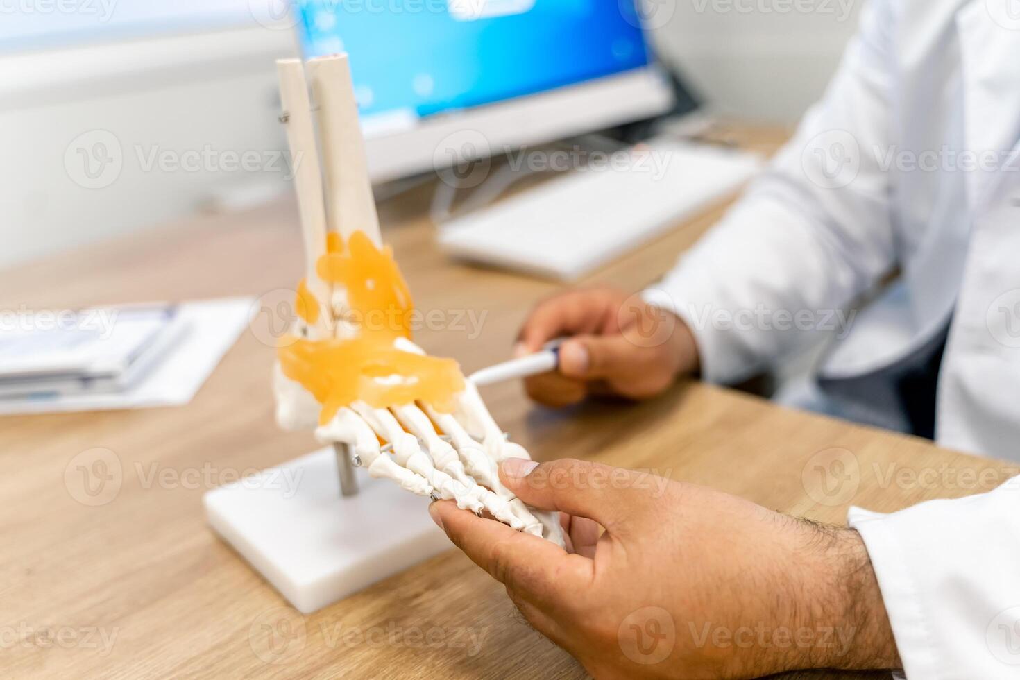 Feet bones model at doctor s table. Educational medical artificial foot model. Detailed bones of the foot. photo