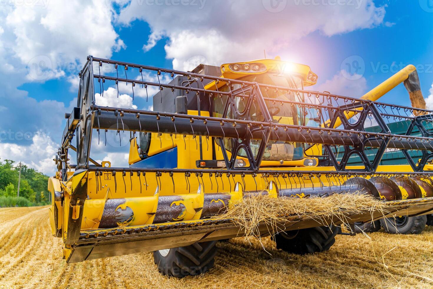 Heavy technics in wheat field. Yellow combine harvesting dry wheat. Observing process. Front view. photo
