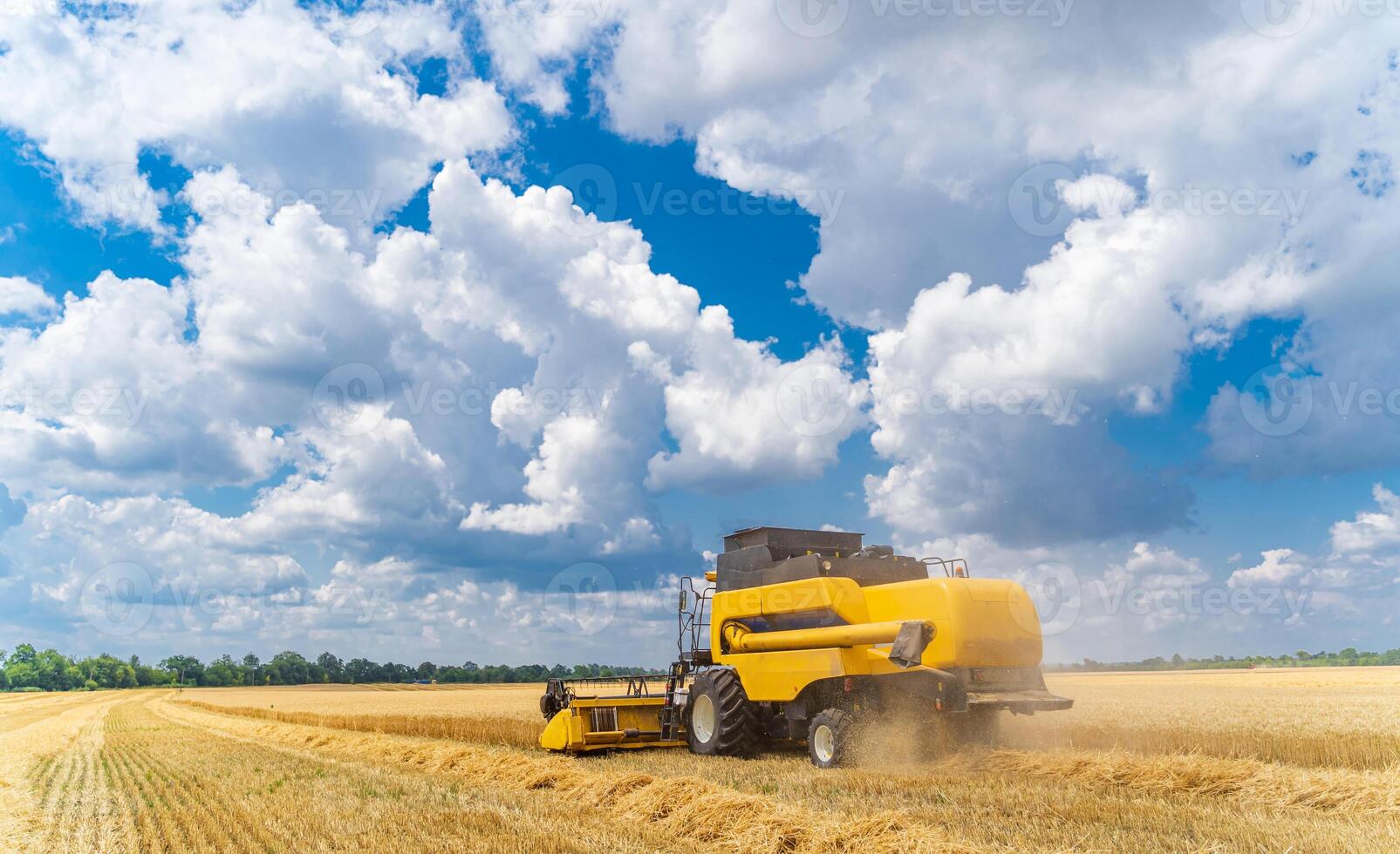 Agriculture machine harvesting crop in fields. Special technic in action. photo