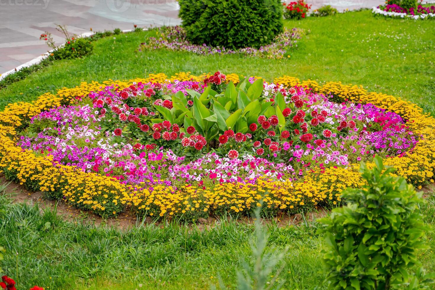 Big round garden bed with a landscape design of flowering rhododendrons, dwarf conifers and paths for walking. Beautiful photo of a spring blooming garden and backyard of a country house.
