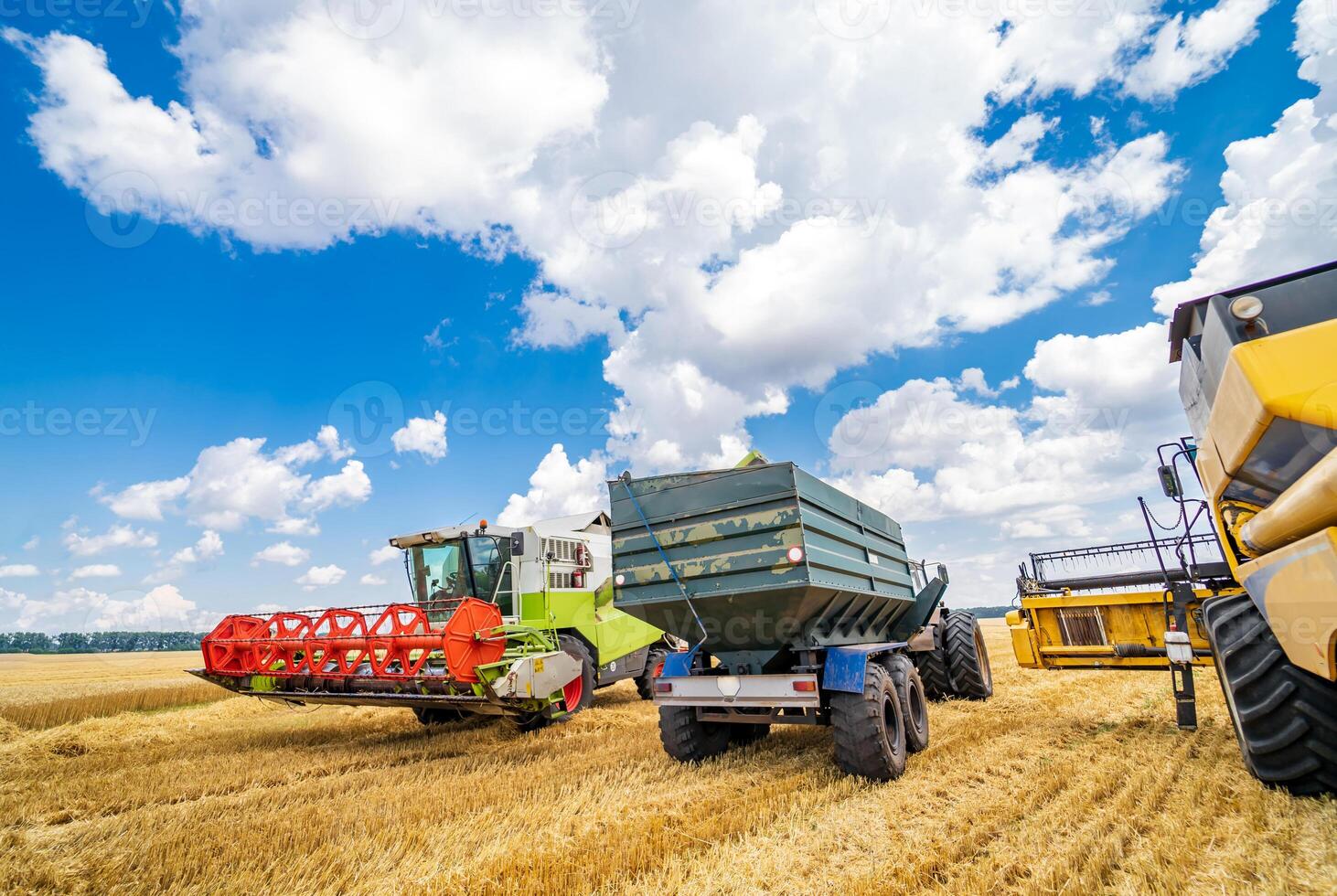 Tres artículos de trigo reunión máquinas. real proceso de trigo cosecha. azul nublado cielo arriba. foto