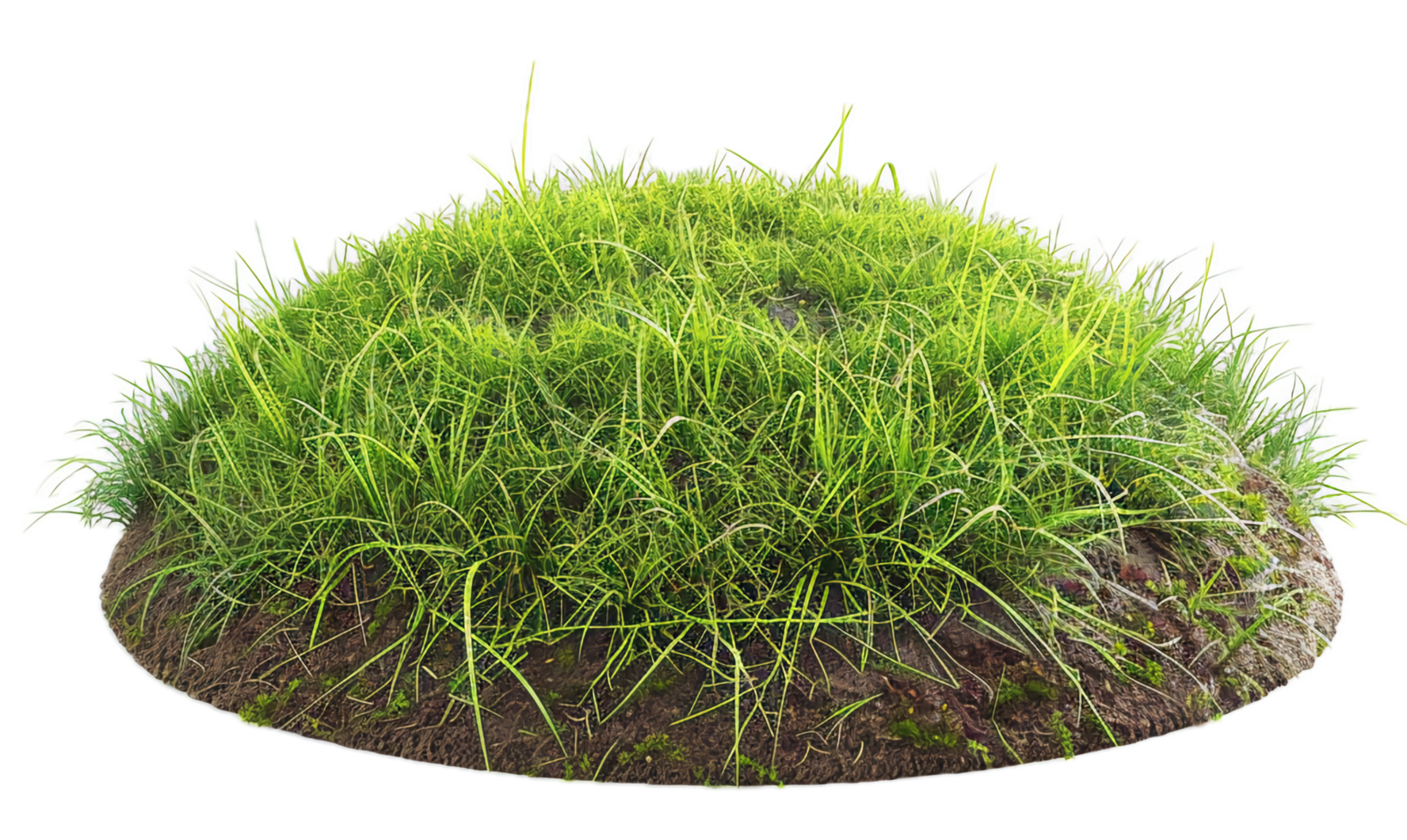 AI generated Fresh Grass Cross-Section with Soil png