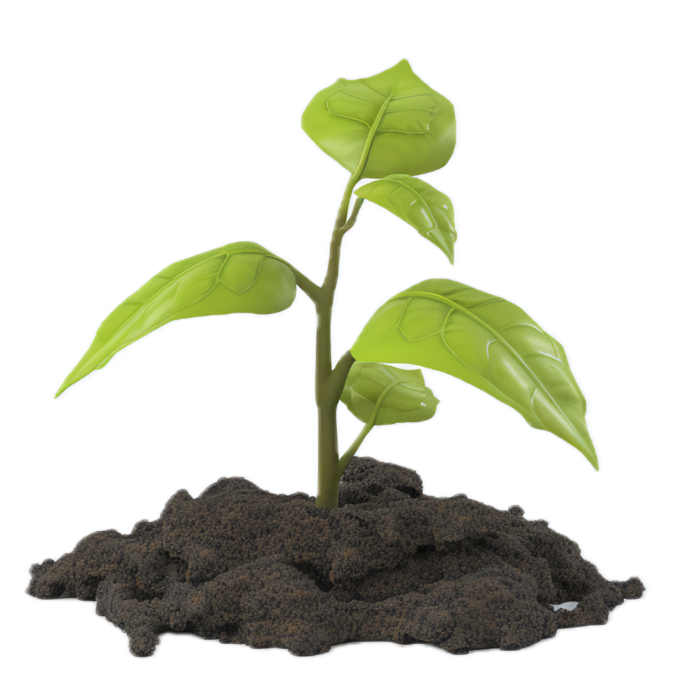AI generated Young Plant Sprouting from Rock png