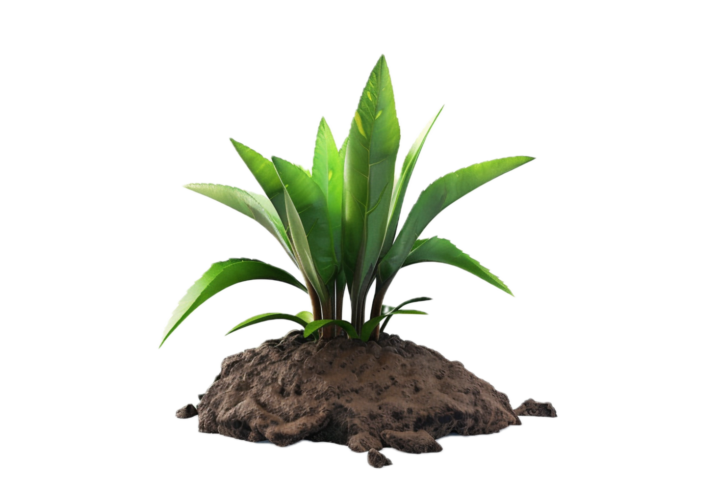 AI generated Young Plant Sprouting from Rock png