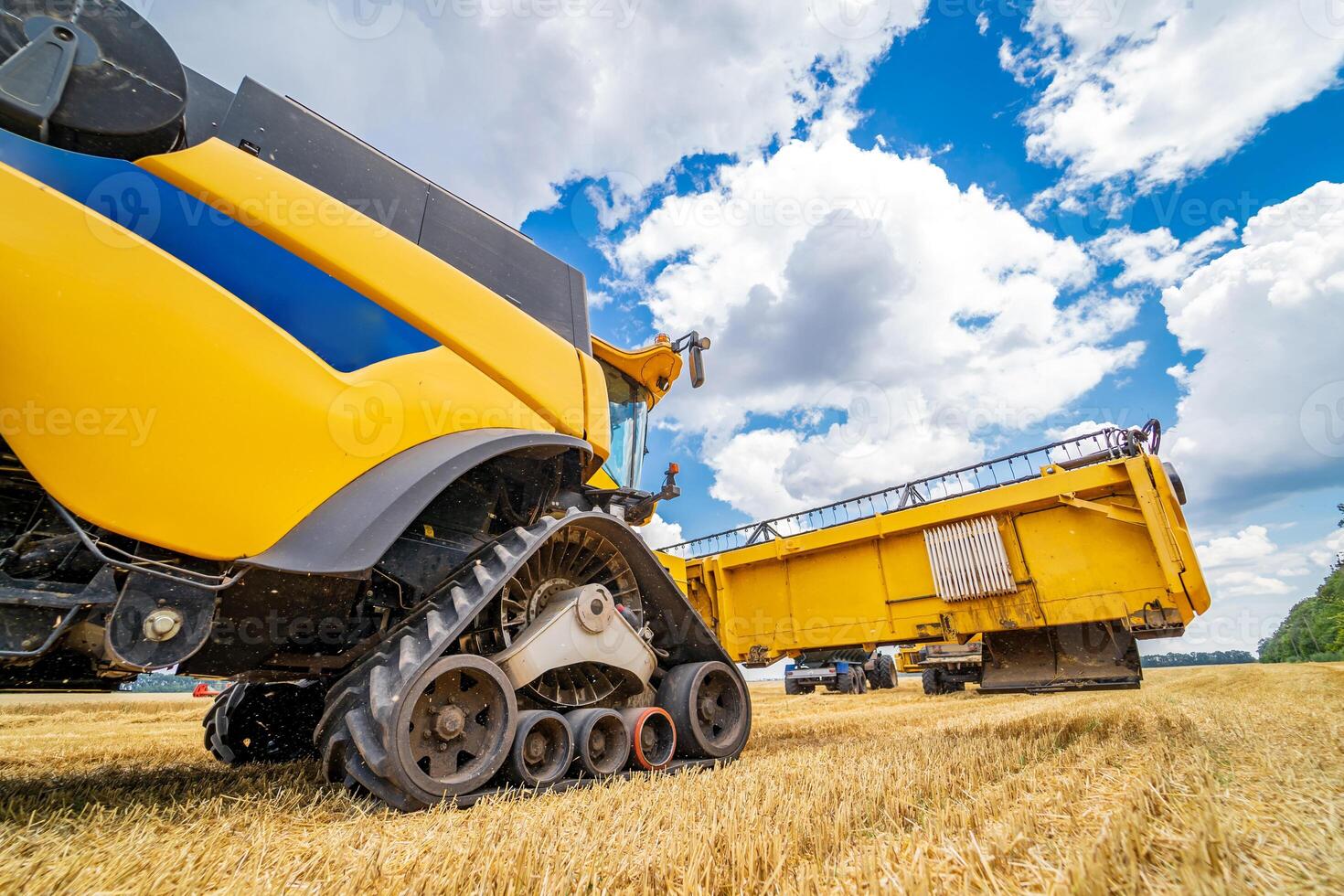 Process of gathering ripe crop from the fields. Side view on yellow combine. Harvest time. photo