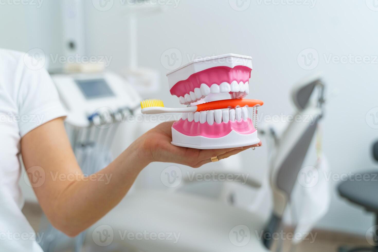 Doctor shows on a plastic jaw sample or model different methods of teeth treatment. Modern dental clinic background. Pink medical gloves on doctor's hands. Tooth brush in jaw. photo