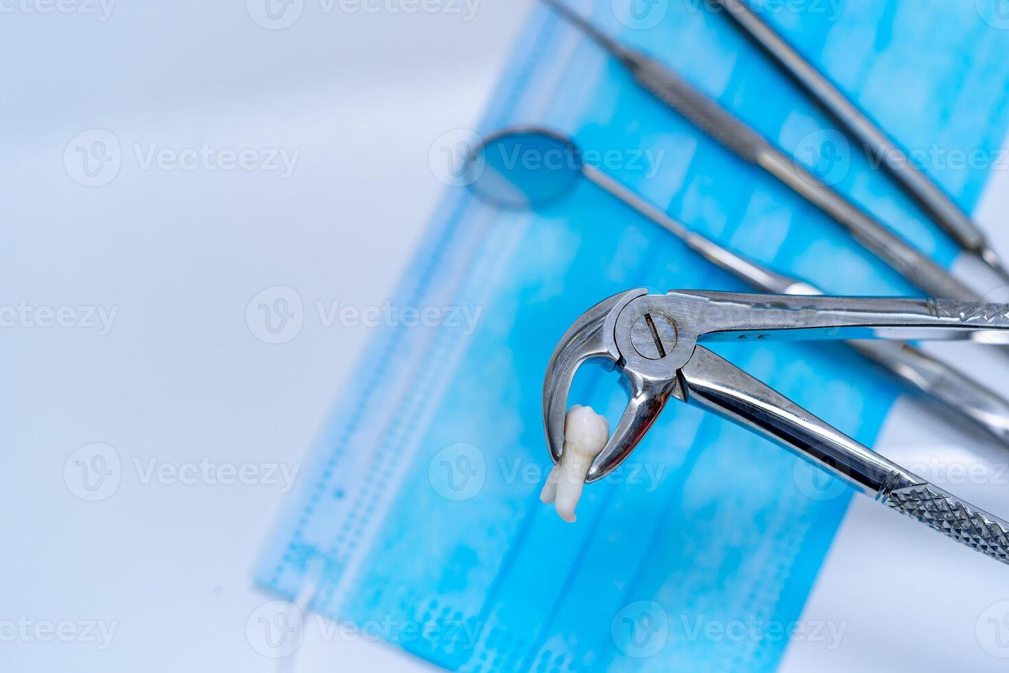 Dental tweezers with false tooth. Real dentist metal instruments. photo