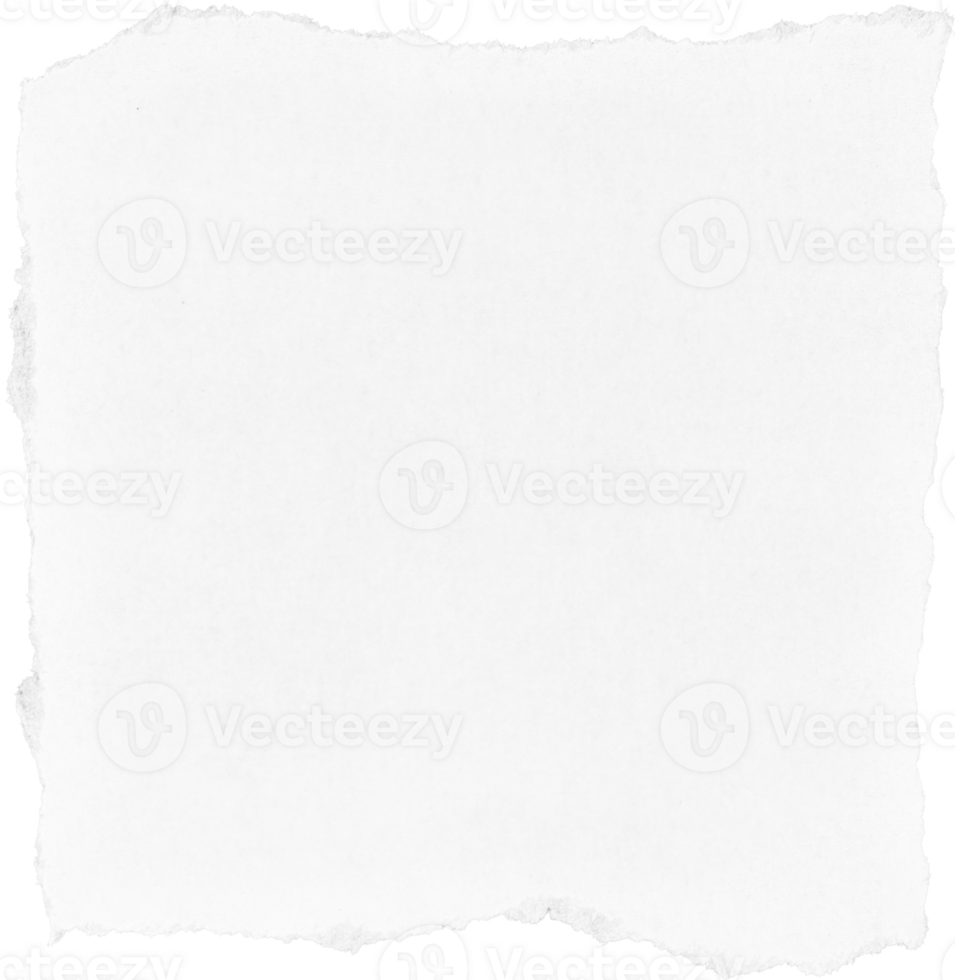 blanc déchiré papier pièce png