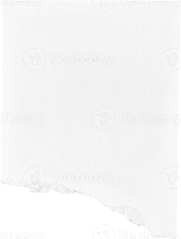 White Torn Paper Piece png