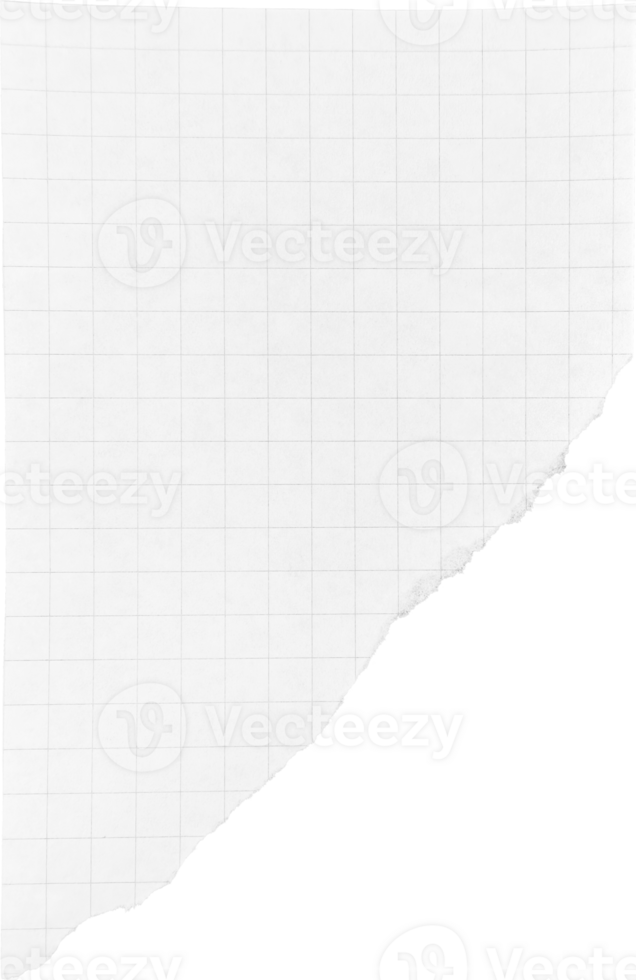 White Torn Paper Piece png