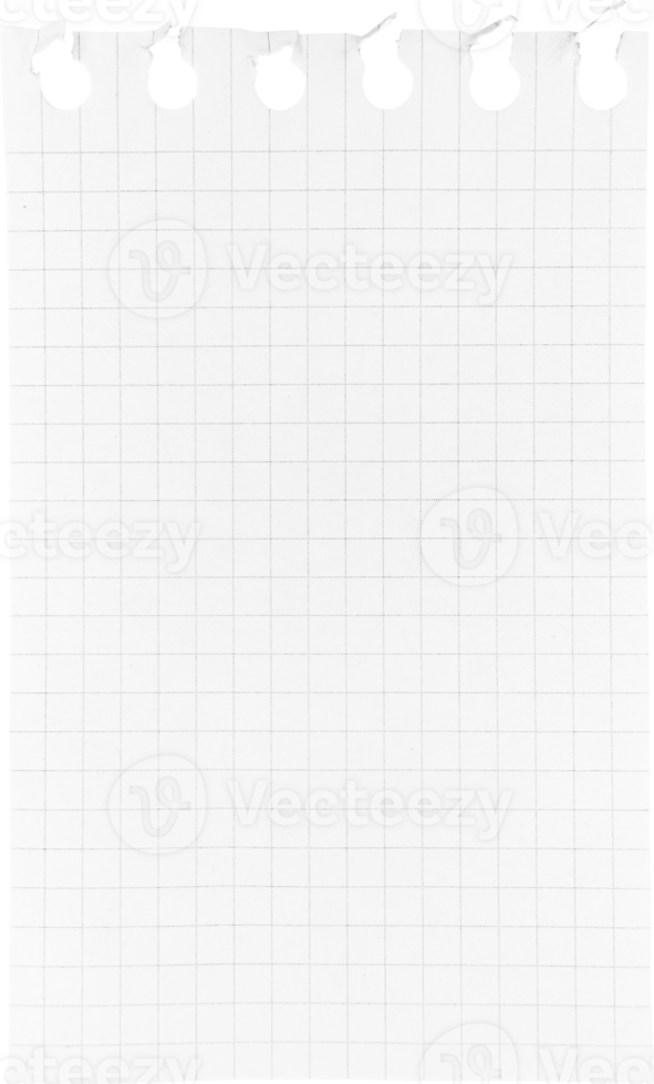 White Torn Ripped Paper Piece, Graphic Element png