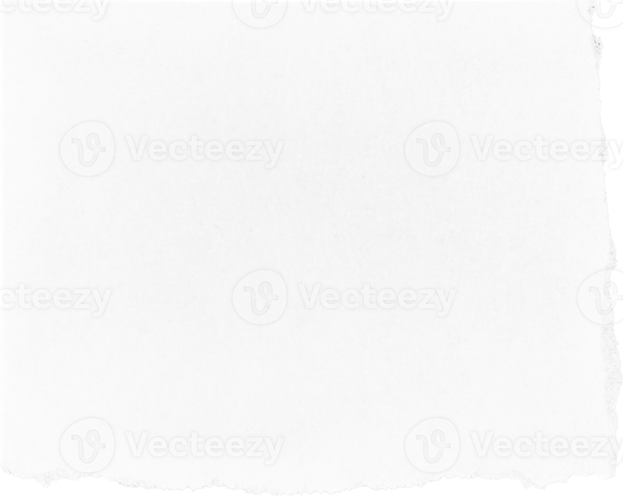 White Torn Paper Piece png
