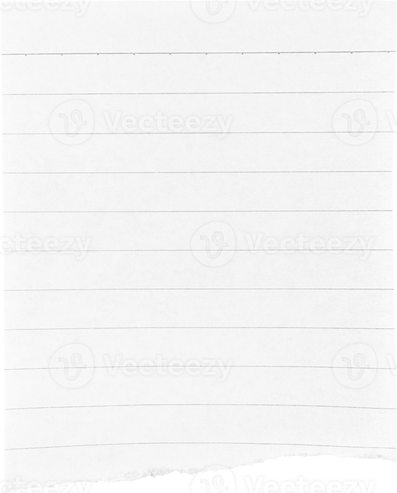 White Torn Paper Piece png