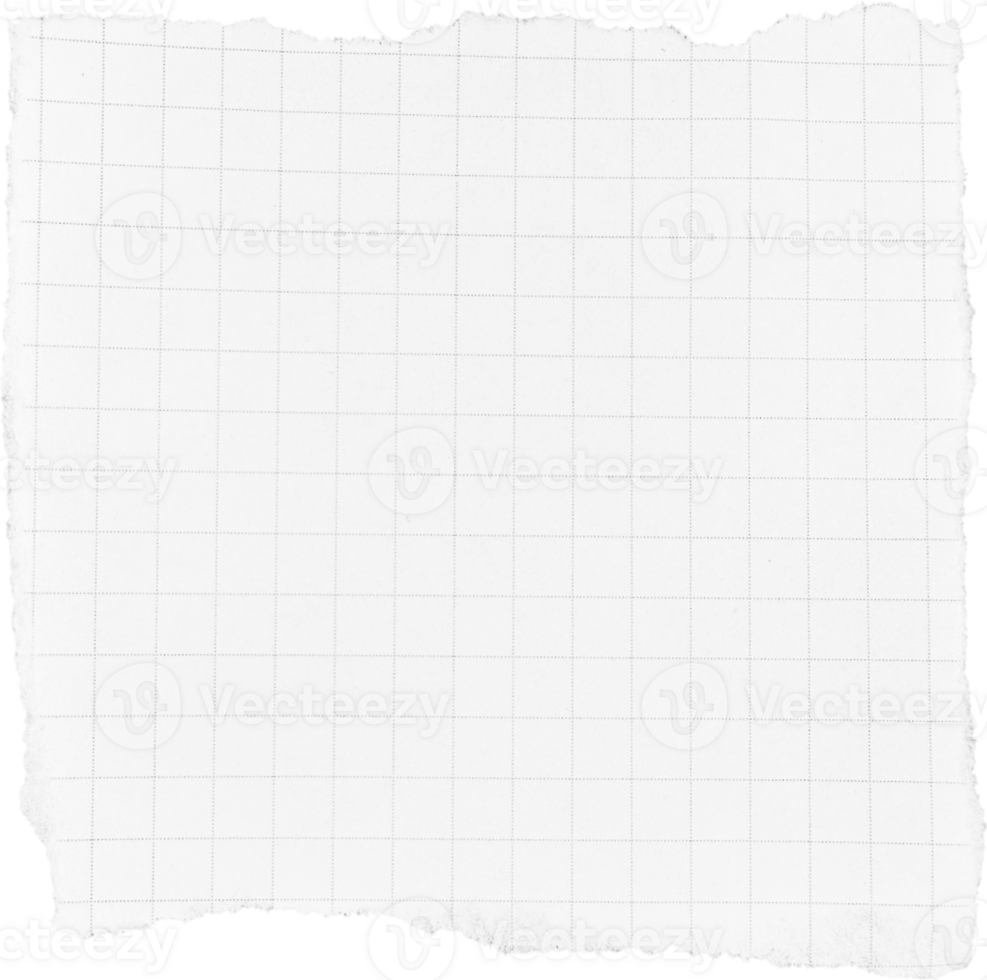 White Torn Paper Piece png