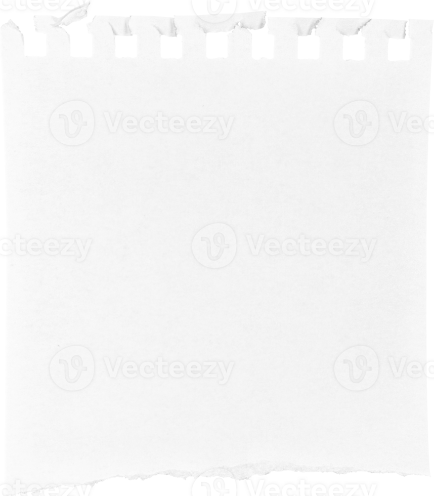 wit gescheurd papier stuk png