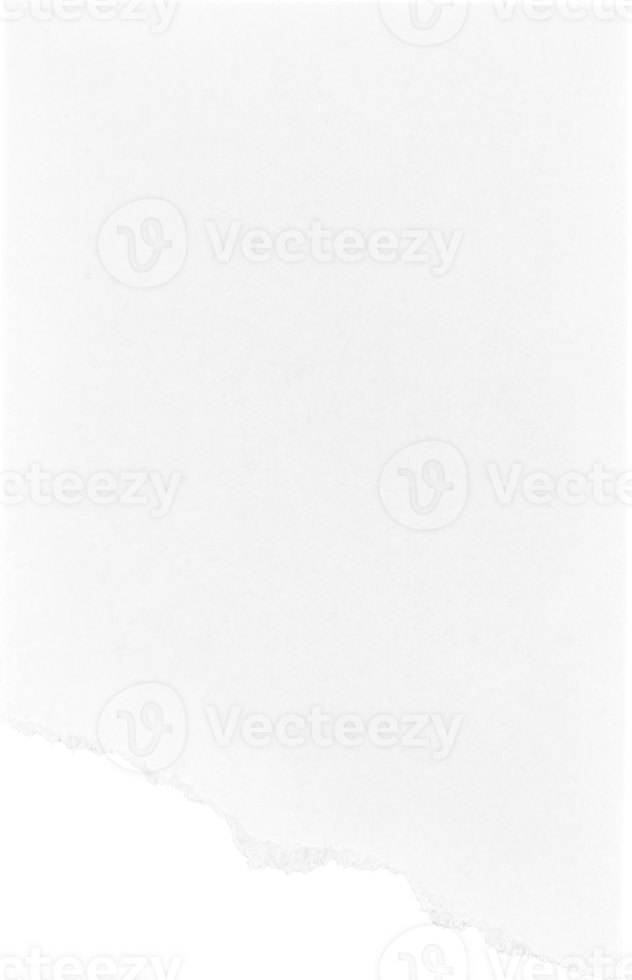 vit trasig rev papper bit, grafisk element png