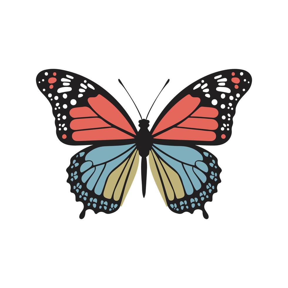 Single colorful butterfly Vector Art Illustration isolated on white background