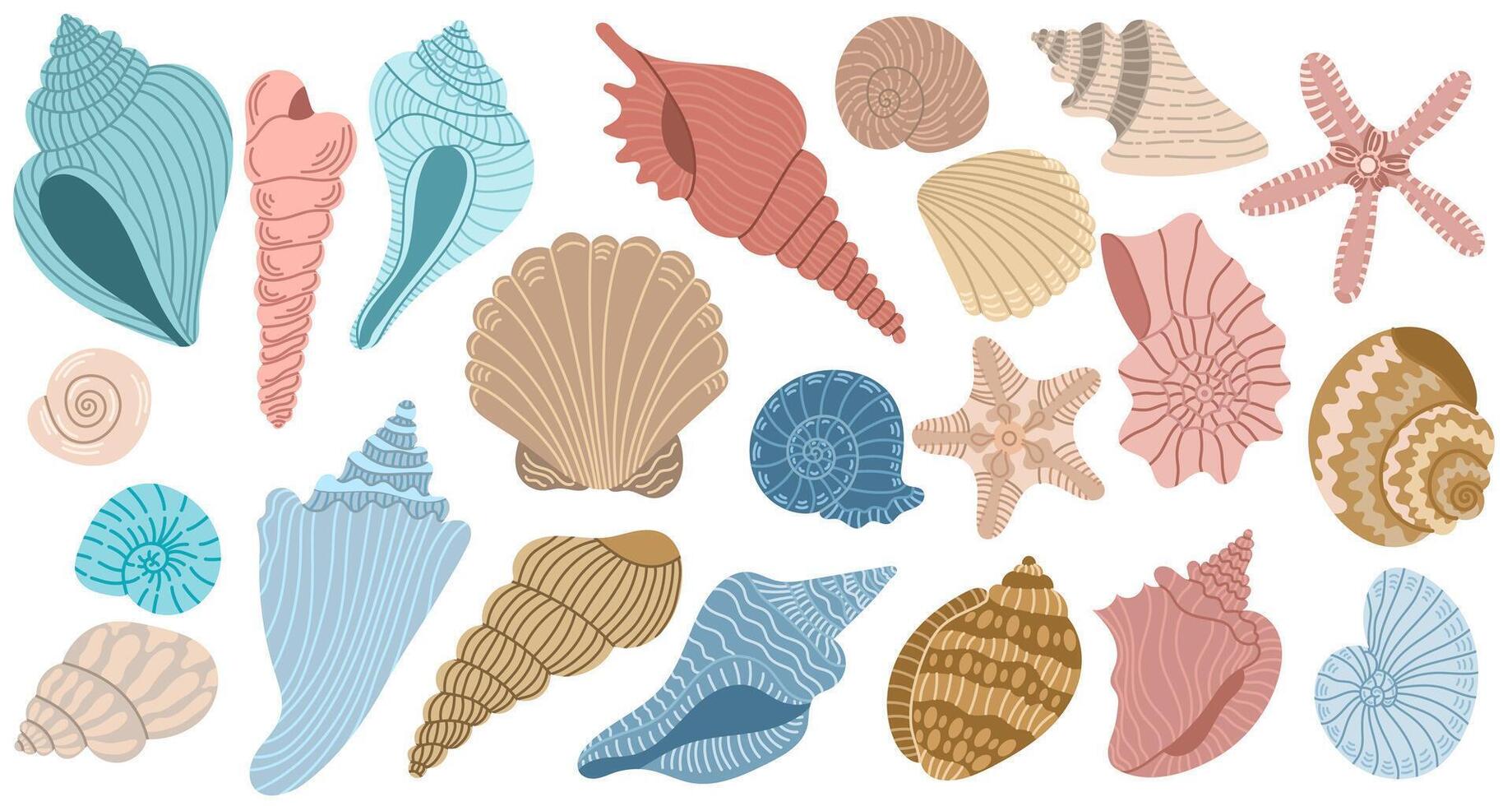 Large collection with colorful different sea shells. Flat illustration, vector