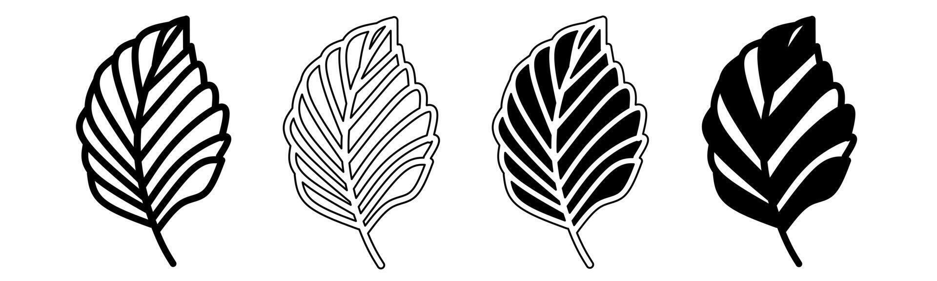 Black and white illustration of a leaves. Leaves icon collection with line. Stock vector illustration.