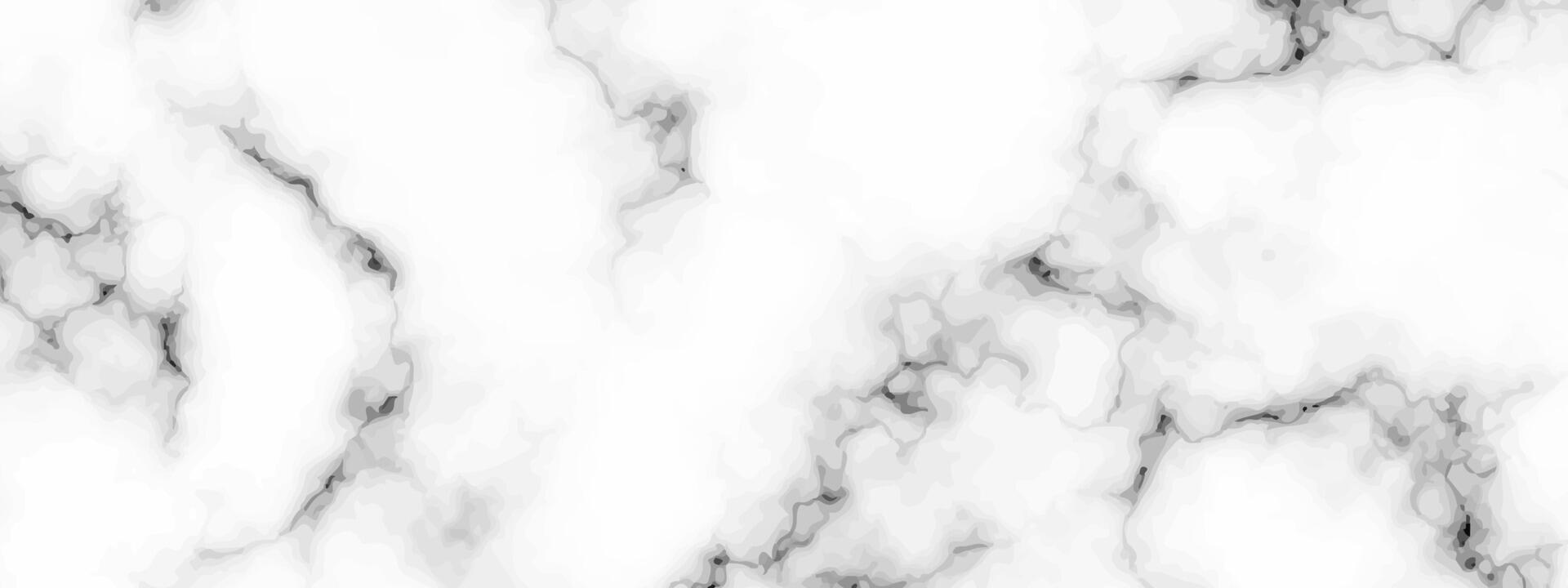 White marble texture background vector