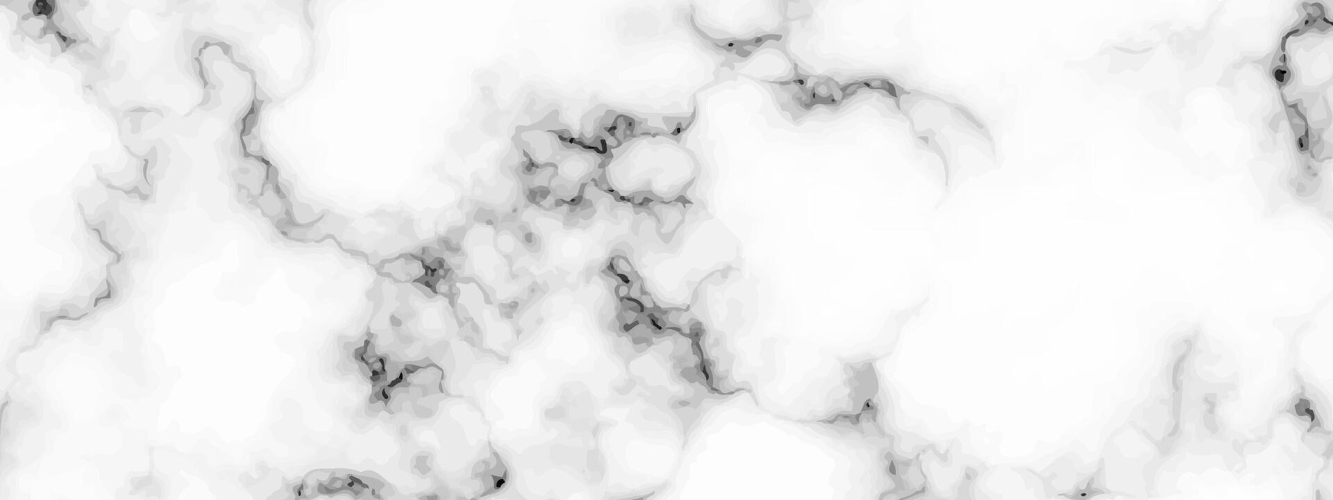 White marble texture background vector