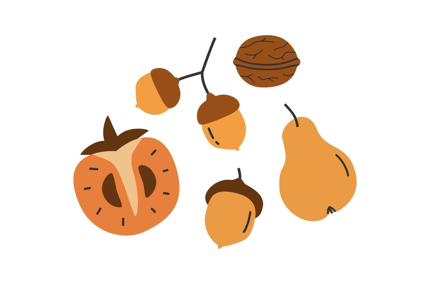 Hand drawn cute illustration of autumn natural elements set. Flat vector acorn, pear, persimmon, walnut in simple colored doodle style. Forest, garden sticker, icon or print. Isolated on background.