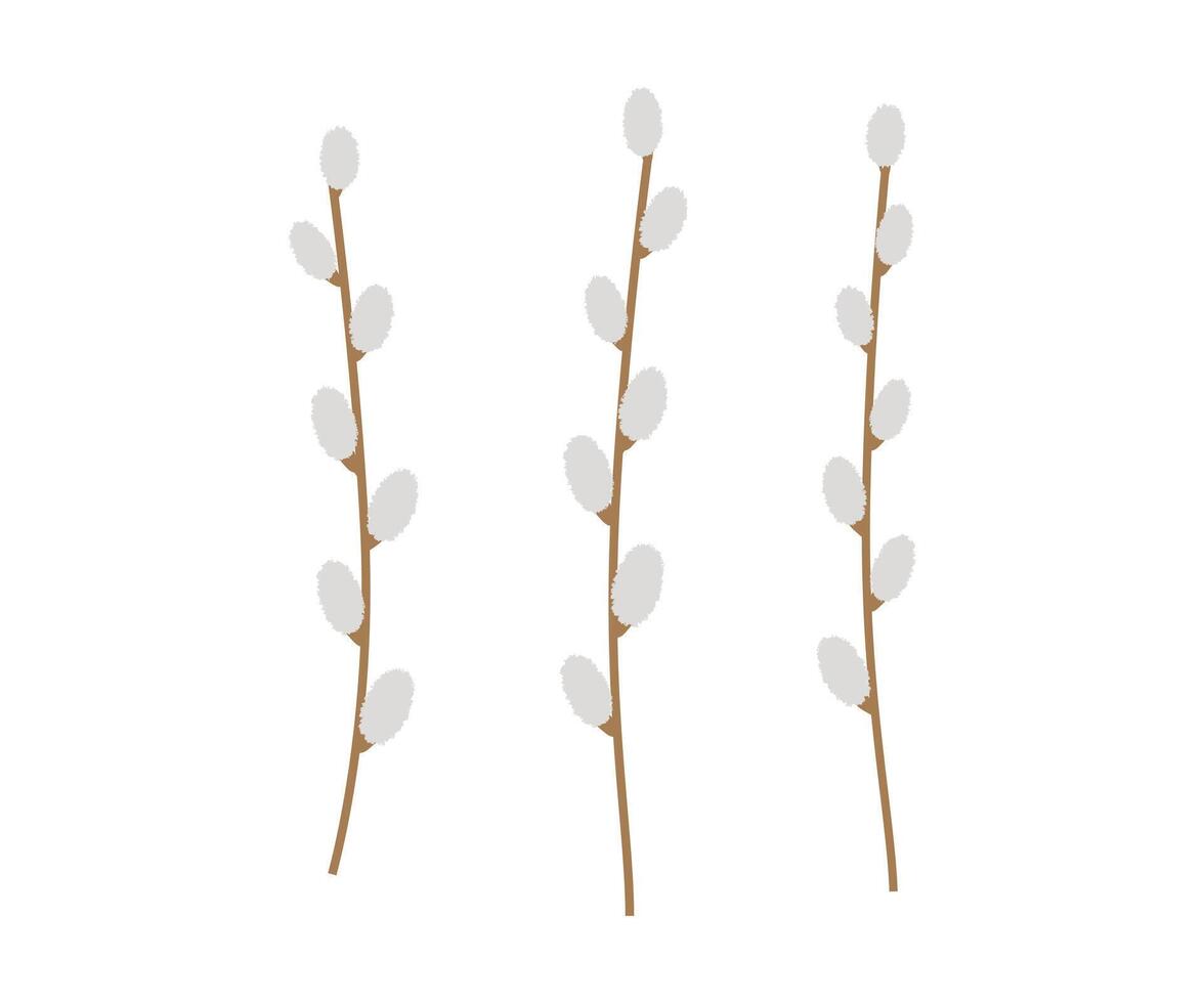 Hand drawn cute cartoon illustration of three willow branches. Flat vector Easter plant set sticker in colored doodle style. Spring botany twig icon or print. Isolated on background.