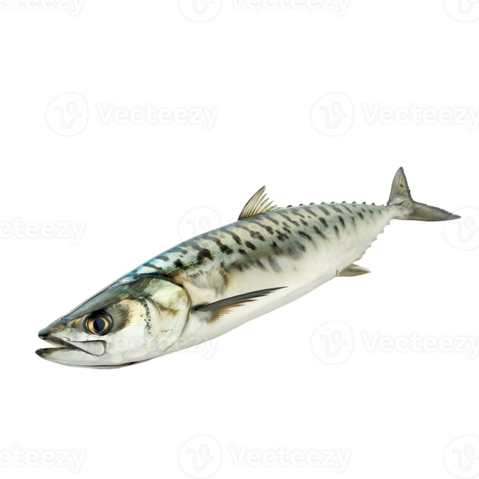 AI generated Mackerel on transparent background png