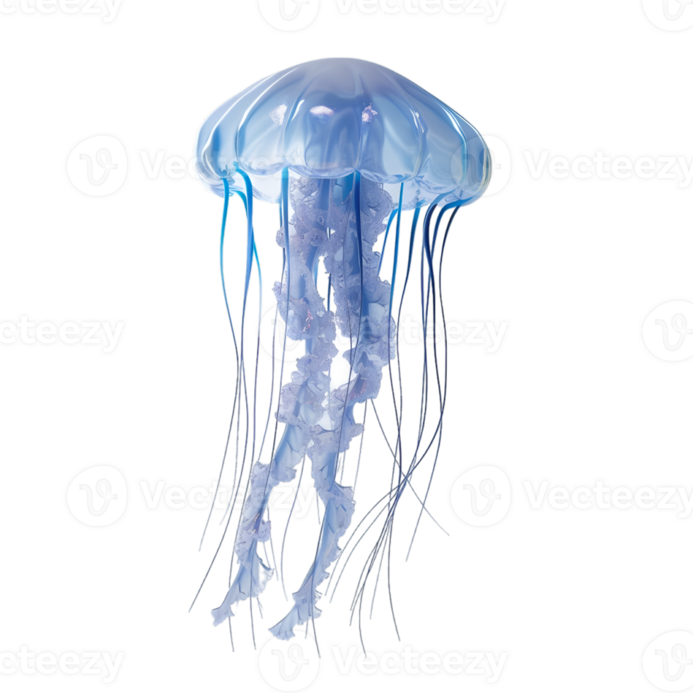 AI generated jellyfish on transparent background png