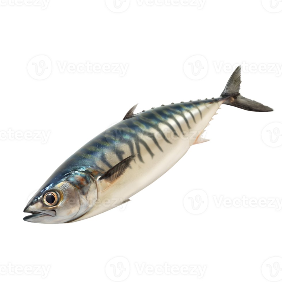 AI generated Mackerel on transparent background png