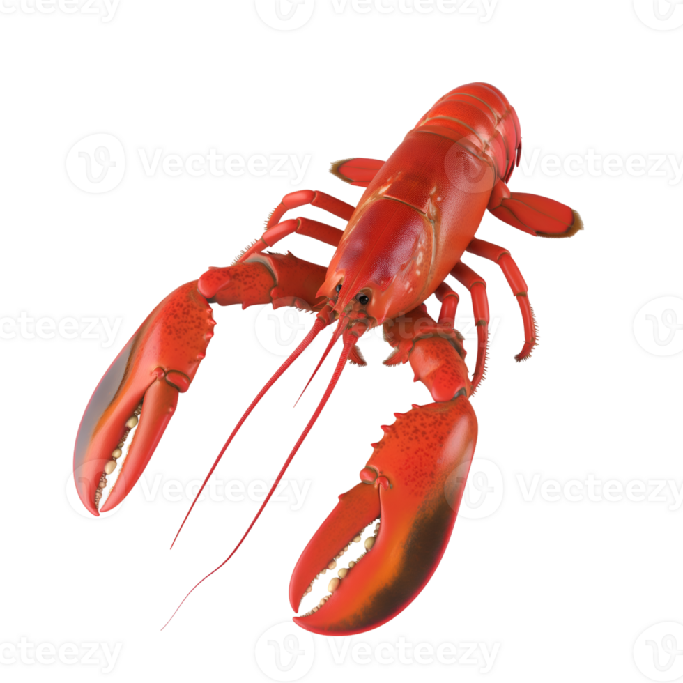 AI generated Lobster on transparent background png