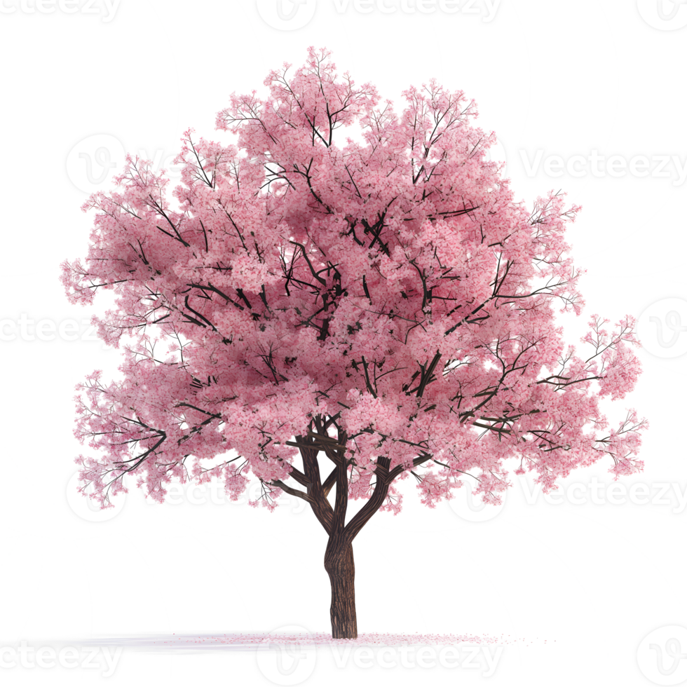 AI generated cherry blossom tree on transparent background png