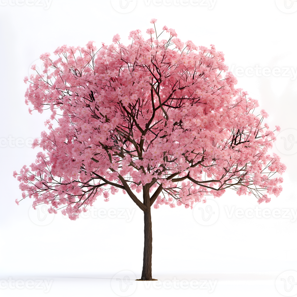 AI generated cherry blossom tree on transparent background png