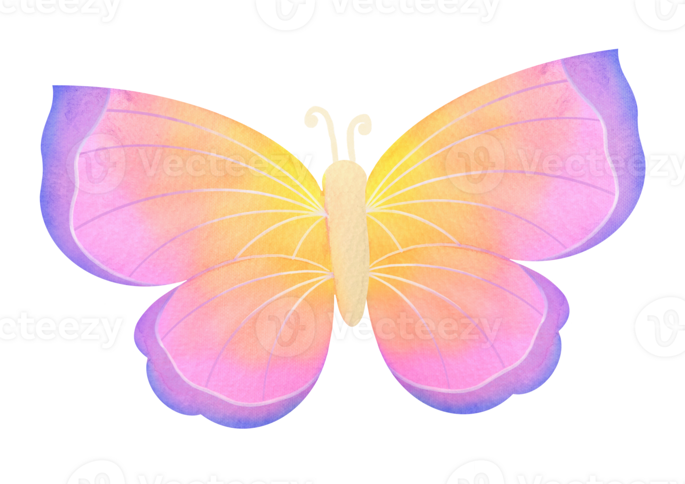 Watercolor Butterfly illustration isolated on transparent background. Iridescent wings, gradient of purple, pink and yellow. Design for decoration of postcards, wedding invitations, greeting cards png