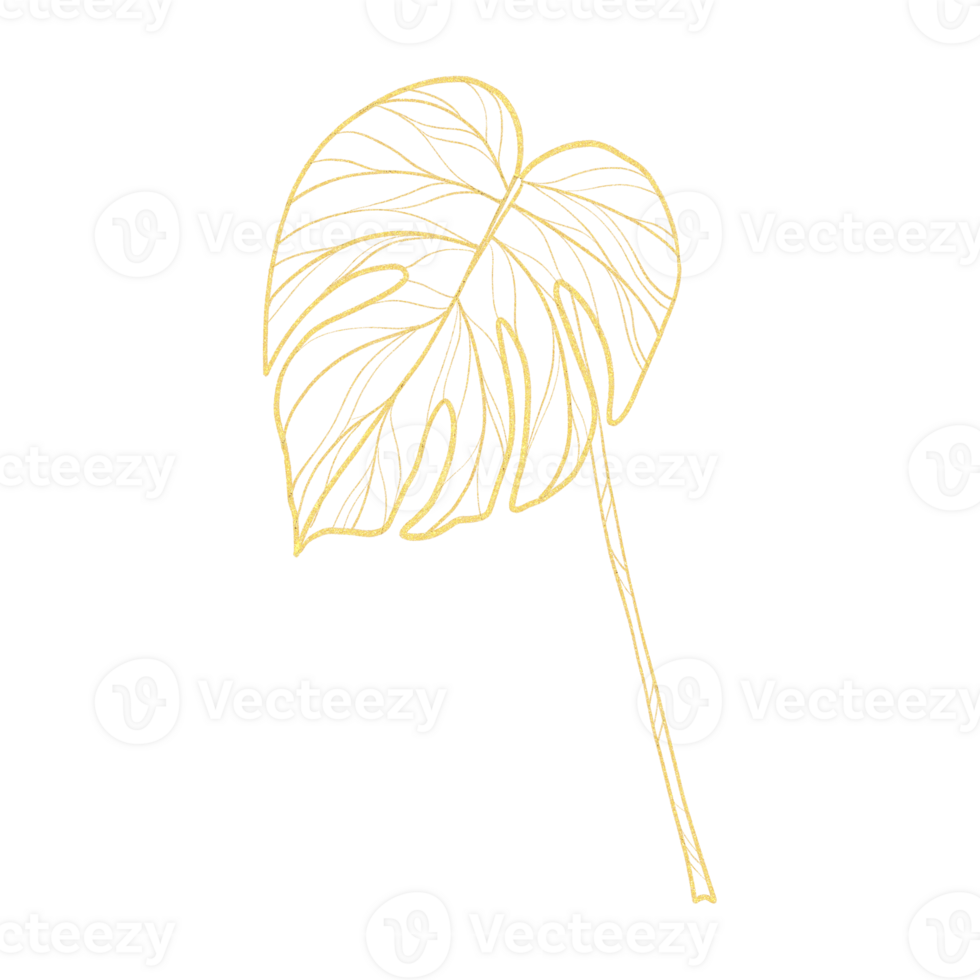 Gold outline illustration with tropical leaf png
