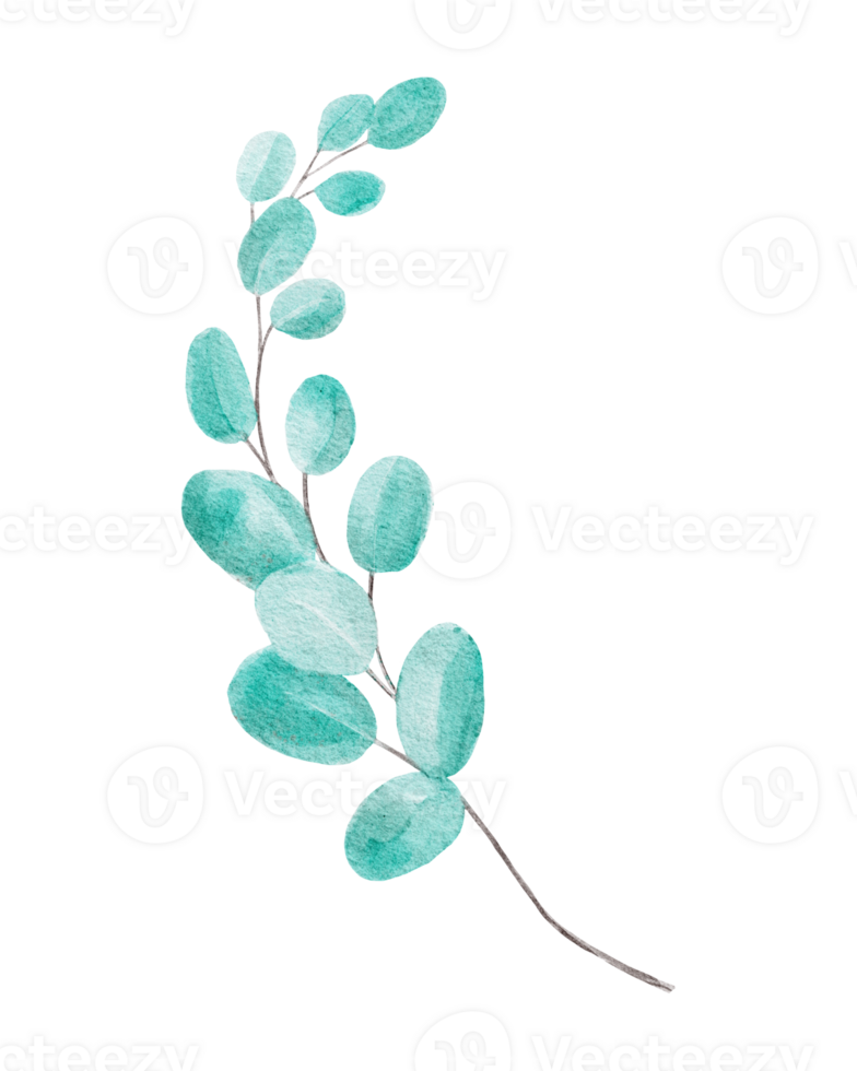 Watercolor branch with leaves png