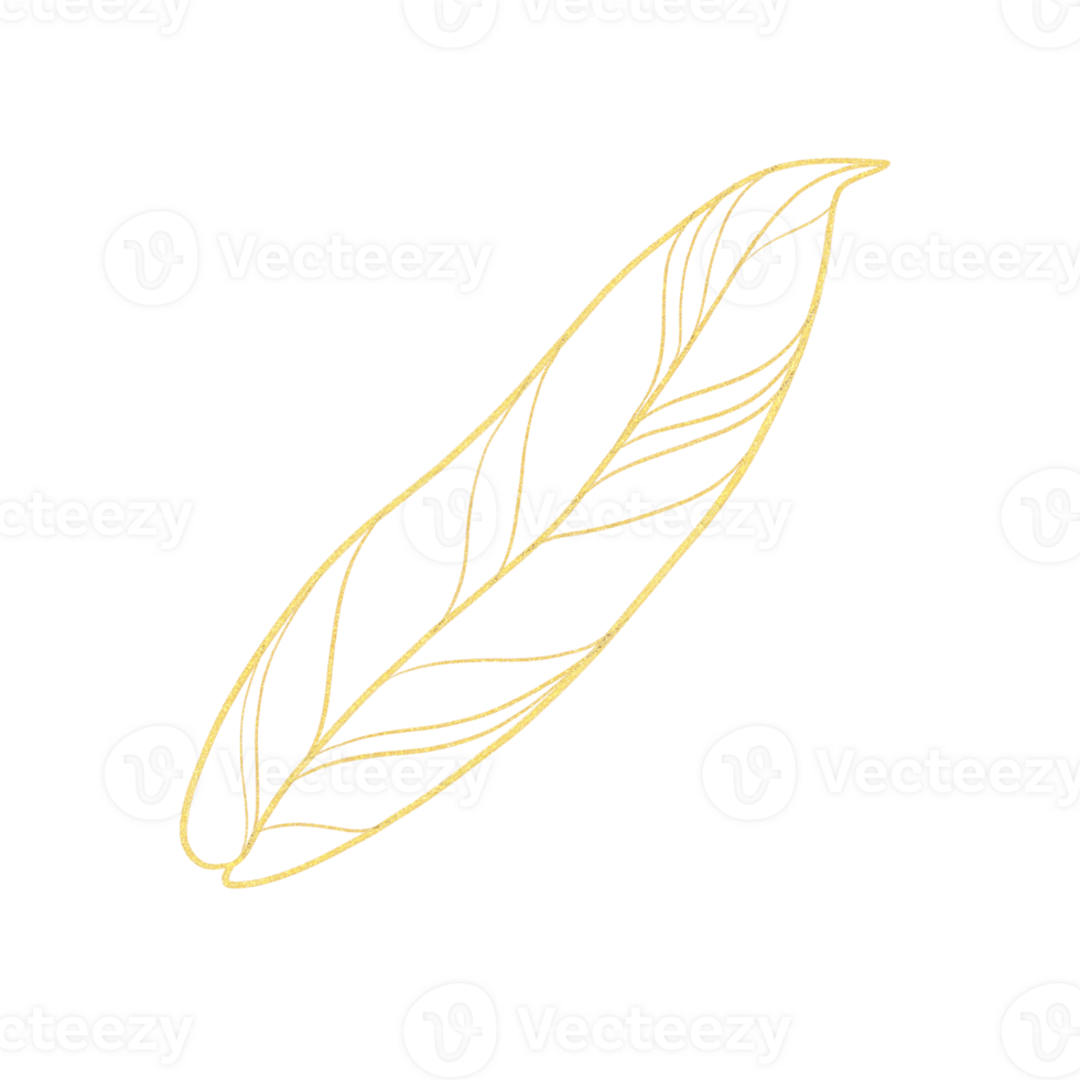 Gold tropical leaf isolated png