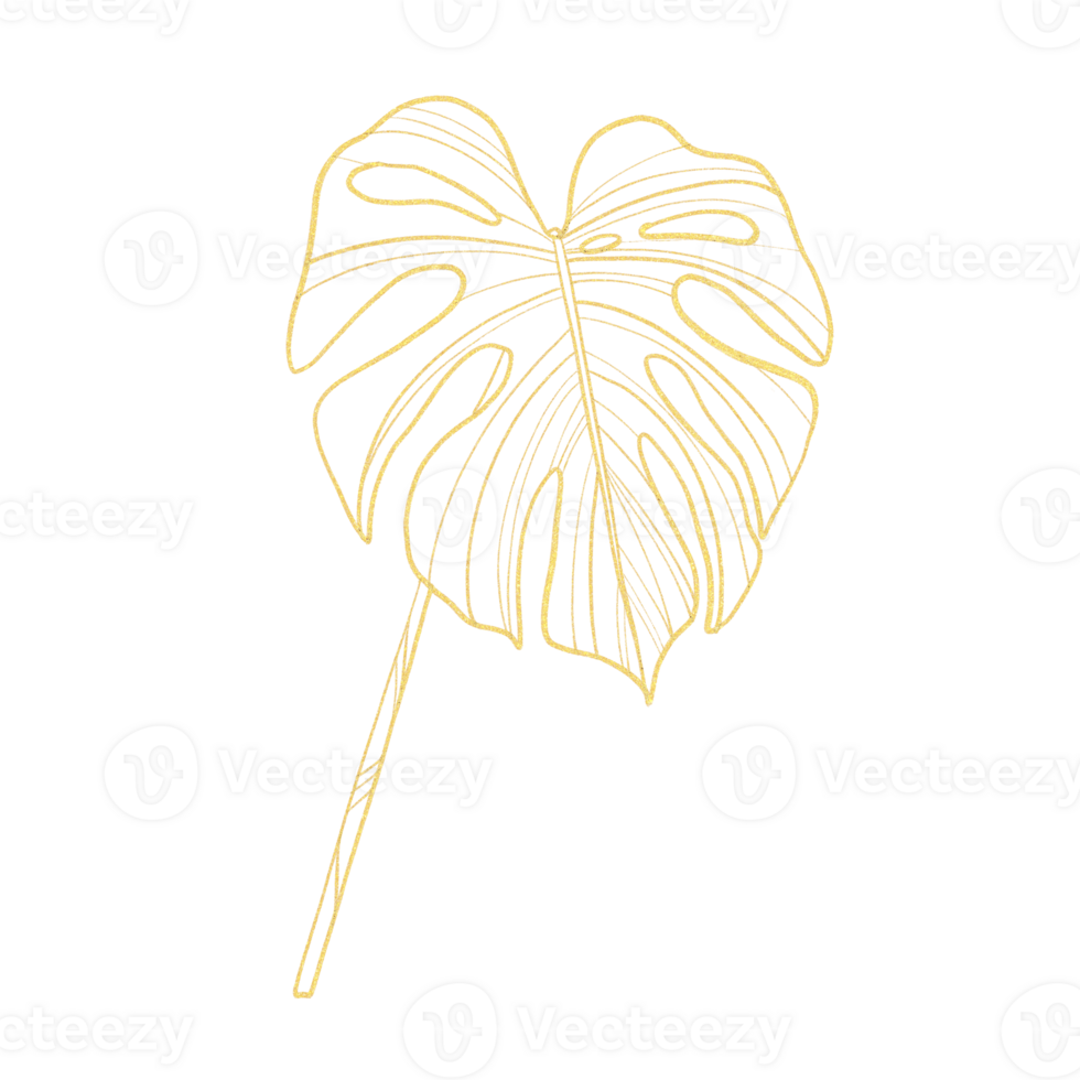 Gold outline illustration with tropical leaf png