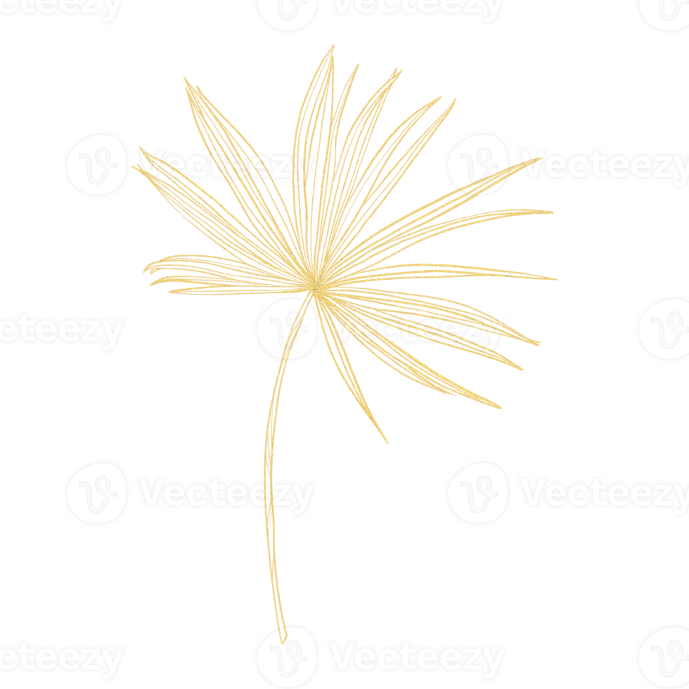 guld översikt illustration med tropisk blad png