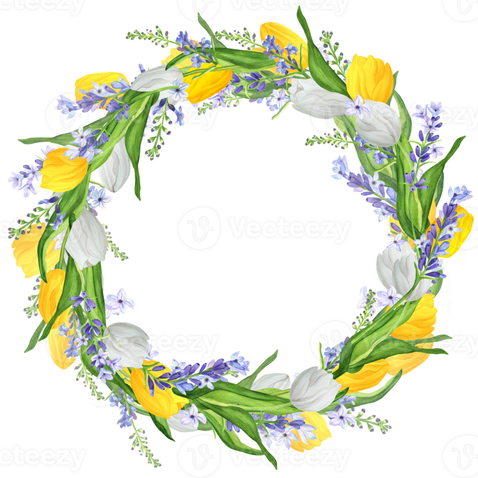 Hand-drawn watercolor illustration. Beautiful wreath with white and yellow tulips and lavender png