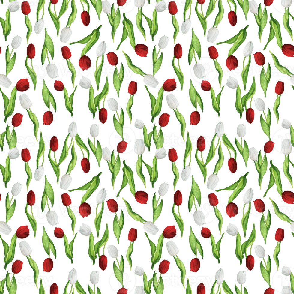 Hand-drawn watercolor illustration. Seamless floral pattern with red and white tulips in random order png