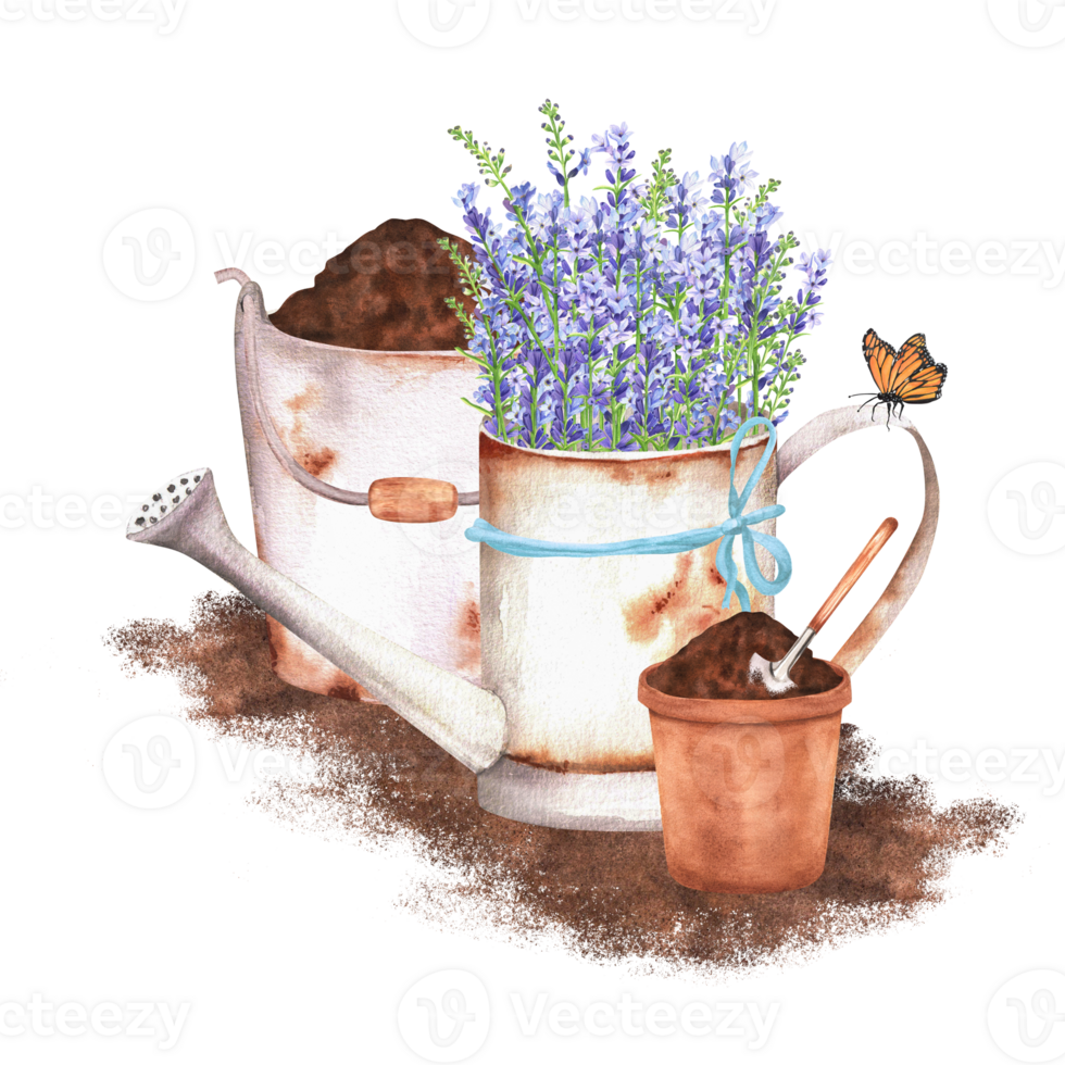 Hand-drawn watercolor illustration. Rustic scene with a watering can with lavender, flowerpot, bucket full of soil and garden tools and butterfly png