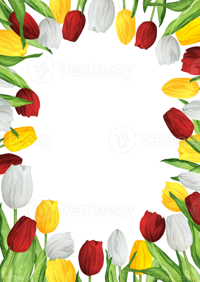Hand-drawn watercolor illustration. Rectangular frame with colorful red, white and yellow tulips for printing design png