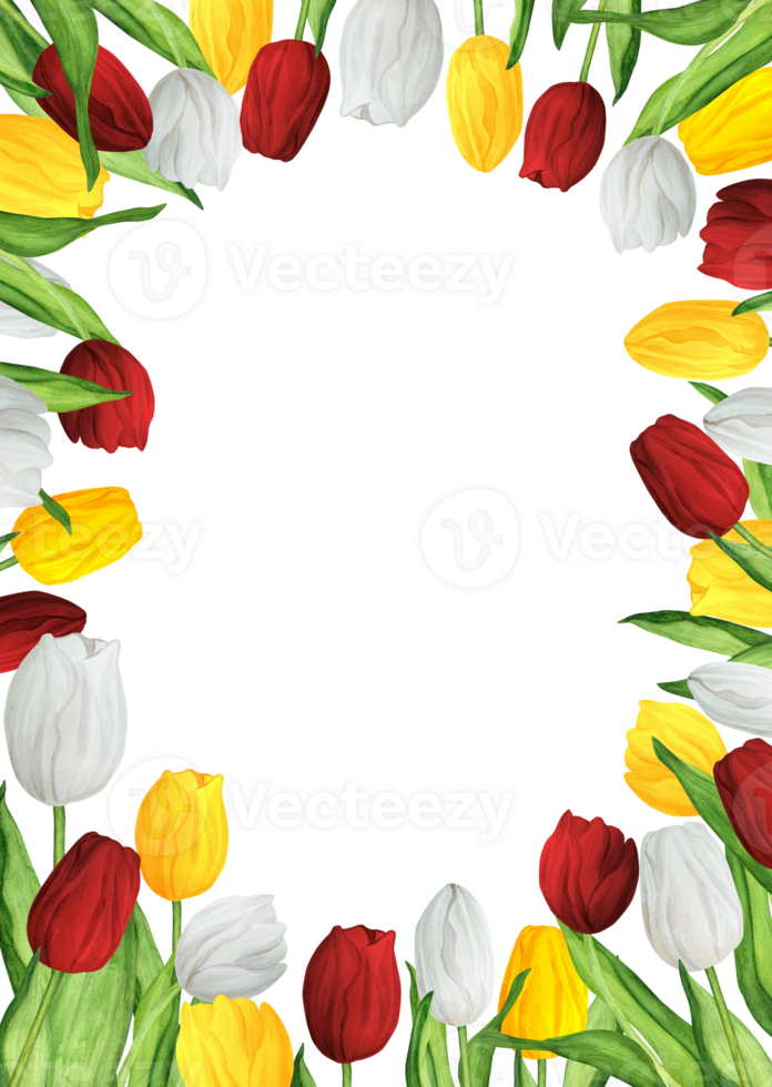 desenhado à mão aguarela ilustração. retangular quadro, Armação com colorida vermelho, branco e amarelo tulipas para impressão Projeto png
