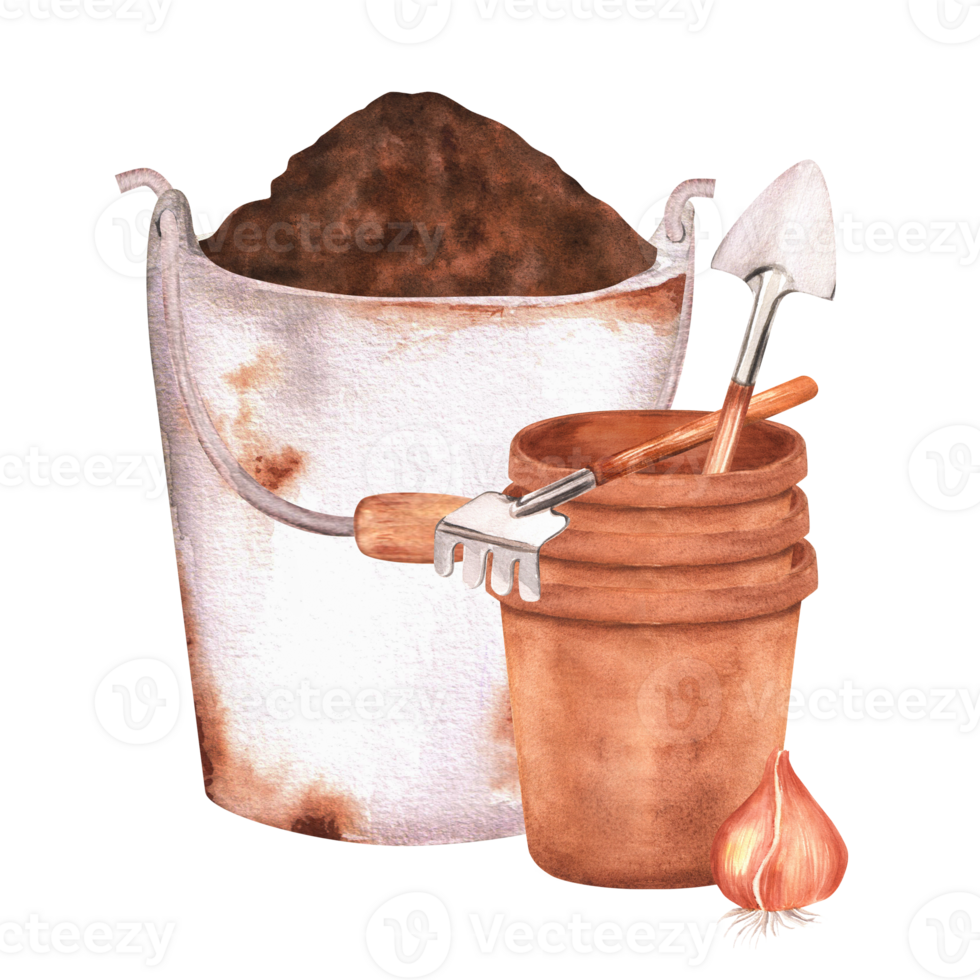 Hand-drawn watercolor illustration. Rusty metallic garden bucket full of soil and flowerpots with garden tools - rakes and shovels png